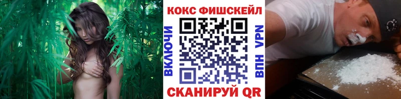 Кокаин FishScale Завитинск