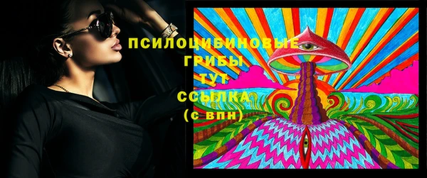 мдпв Вяземский